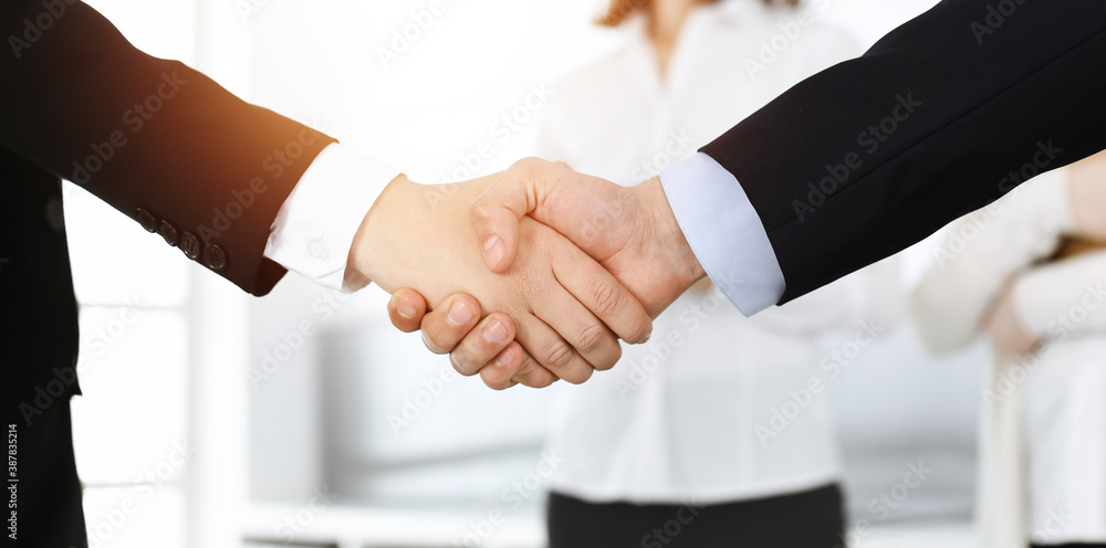 Businessman and woman shaking hands with colleagues at the background. Handshake at meeting in sunny office
