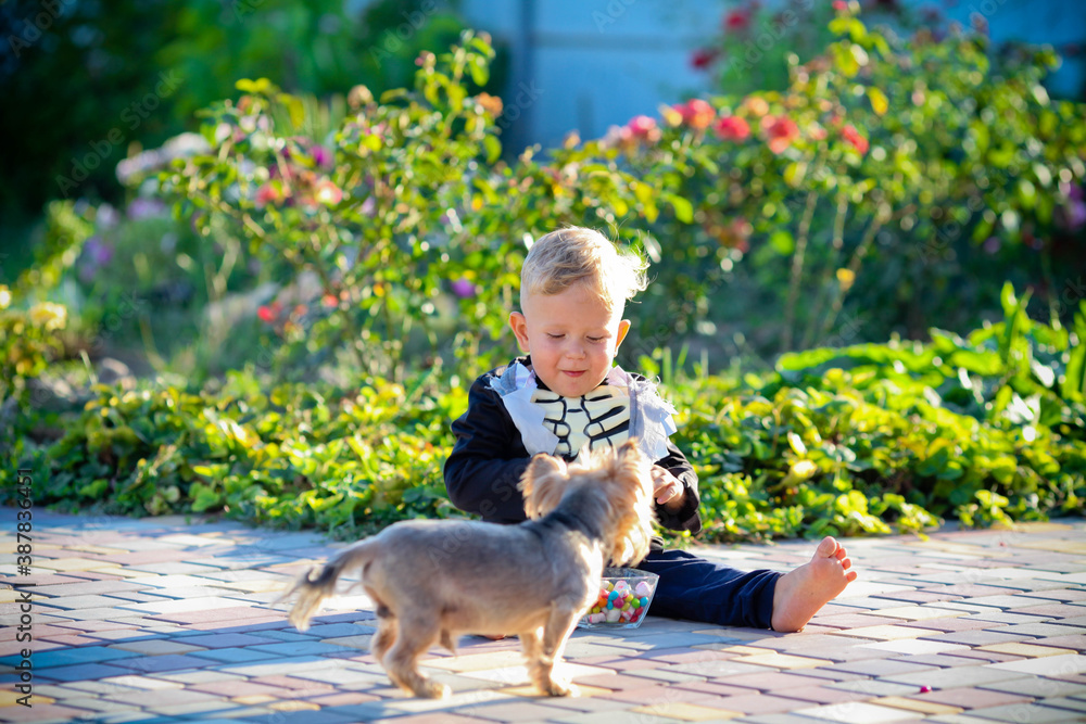 Obraz premium Little boy sits in a skeleton suit next to a dog. Halloween holiday.
