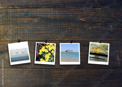 Four photos of four seasons on dark wooden surface. Seasons on dark background