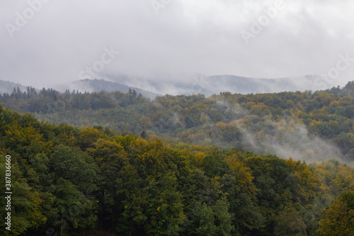 Landschaft mit Nebel im Herbst mit Buntem Lauf auf den Bäumen