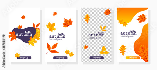 set of autumn sale banners illustration for social media promotion stories