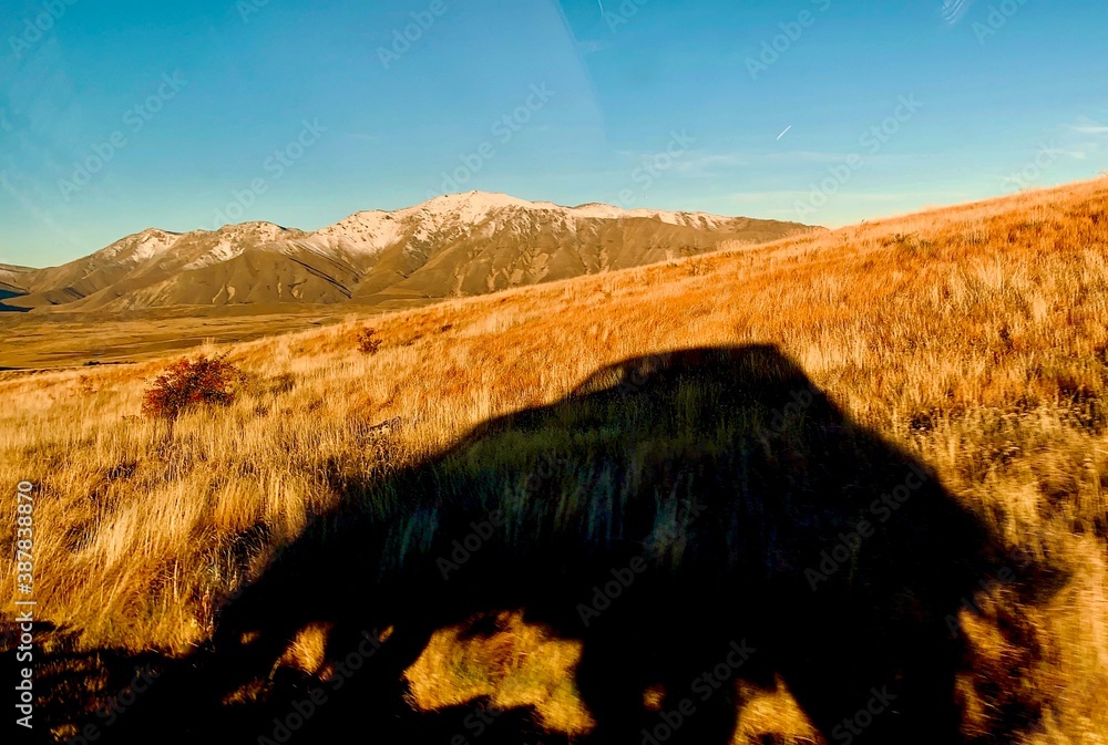 Shadow of a car on the meadow on the way to Mount John Observatory at Tekapo Lake of New Zealand at sunset hours 