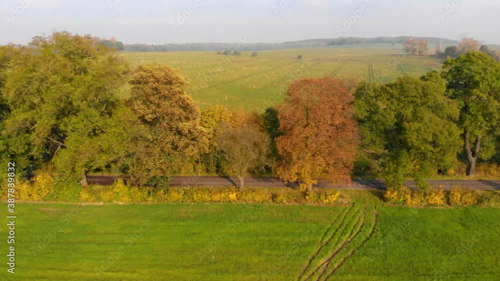 Beautiffull Autumn drone fly over the road with car driving by Beautiffull Autumn drone fly over the road with car driving by
