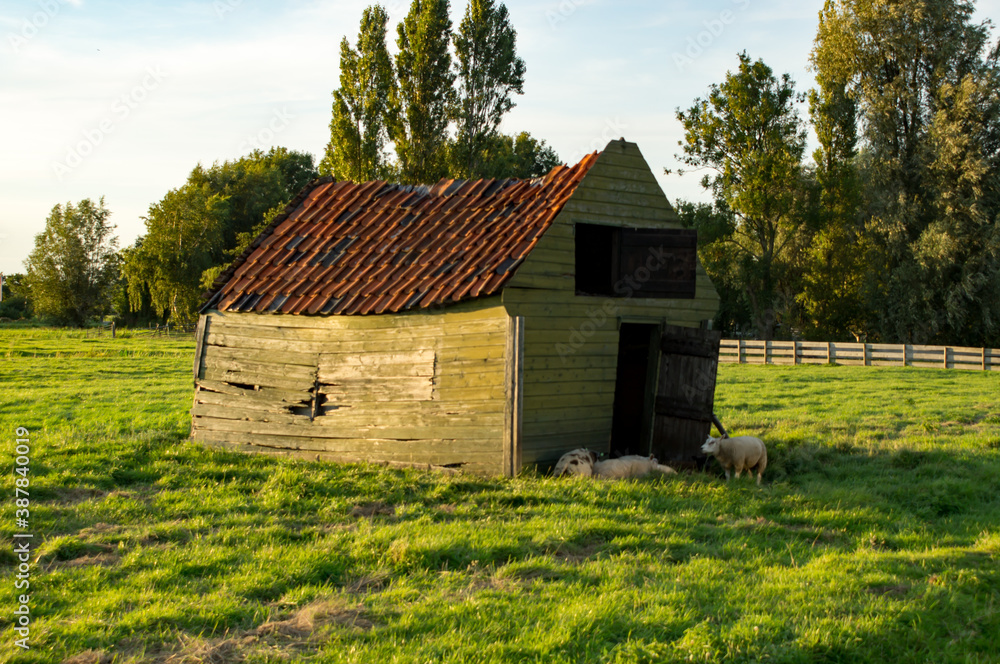 ramshakled shed ramshakled shed