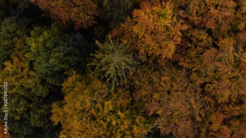 Beautiffull Autumn drone fly over the trees and fields photo