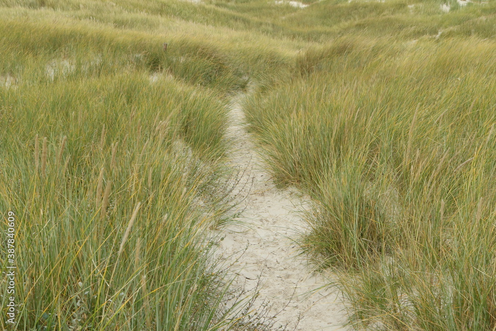 Kniepsand, Wittdün, Isle of Amrum, North Frisian islands, Schleswig-Holstein, Germany Kniepsand, Wittdün, Isle of Amrum, North Frisian islands, Schleswig-Holstein, Germany
