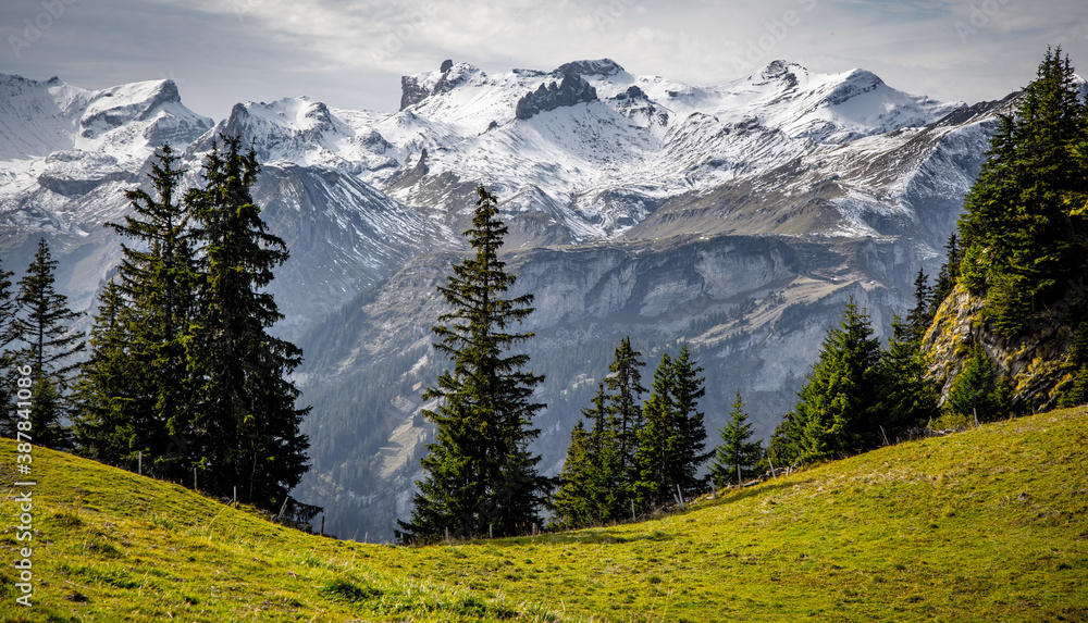 Popular mountain in the Swiss Alps called Schynige Platte in Switzerland - travel photography