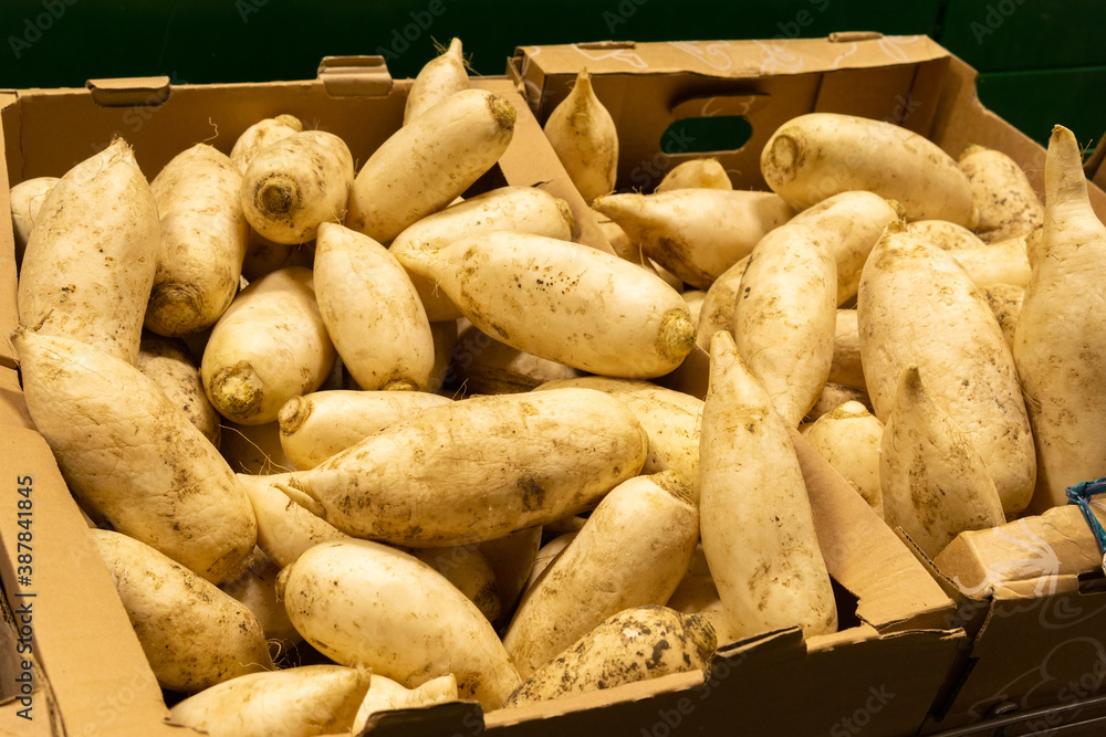 radish on the shelves of the grocery market, background. sale of fresh vegetables radish on the shelves of the grocery market, background. sale of fresh vegetables
