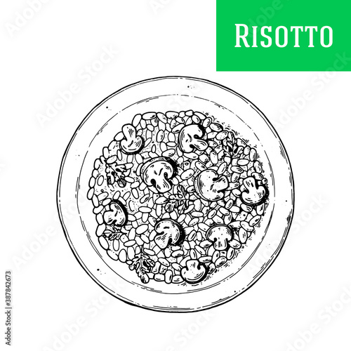 Italian risotto hand drawn vector illustration. Risotto top view. Packaging design template. Sketch illustration.