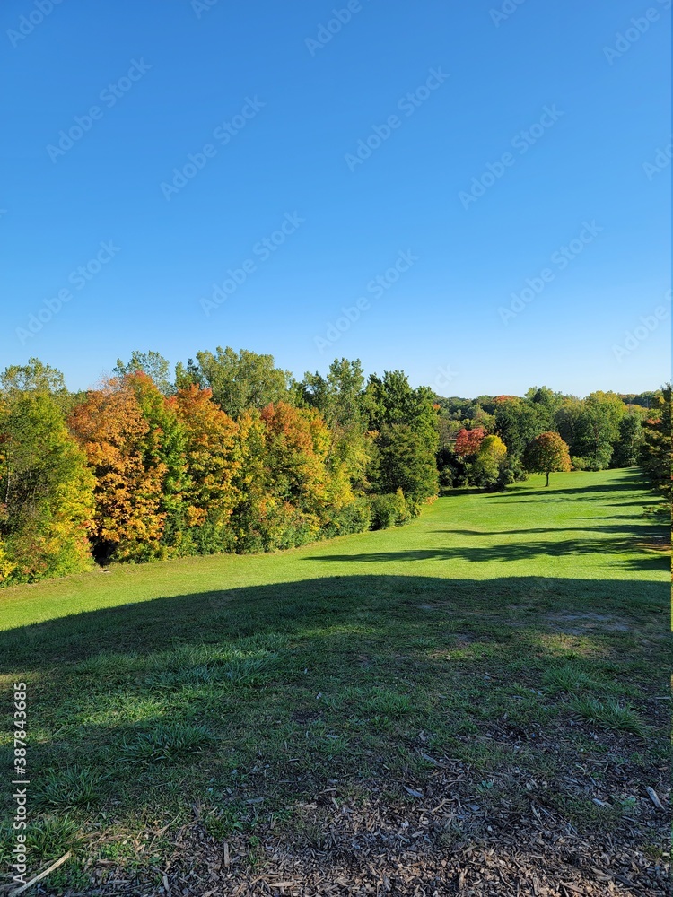 autumn landscape with trees