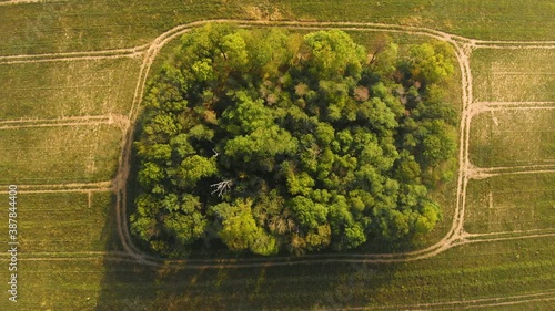 Beautiffull Autumn drone fly over the trees and fields photo