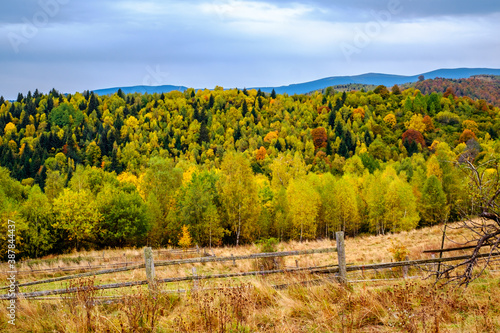 Fototapeta Naklejka Na Ścianę i Meble -  Colorful autumn landscape in the Romanian Carpathians, Fantanele village, Sibiu county, Cindrel mountains, 1100m, Romania
