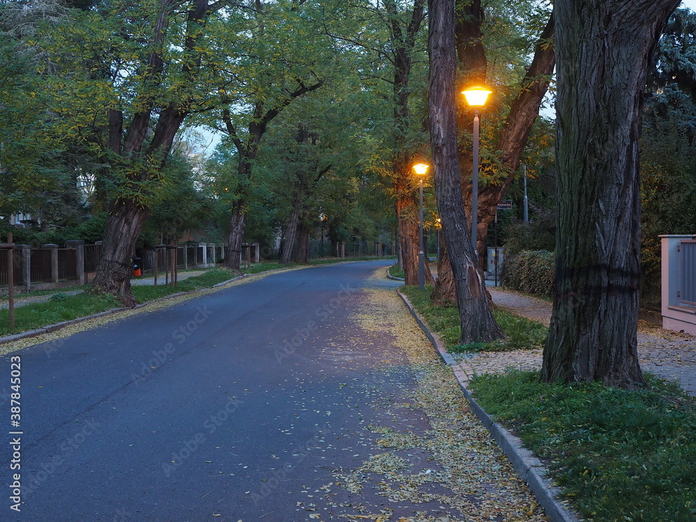 Obraz premium Lights on dark alley in the city