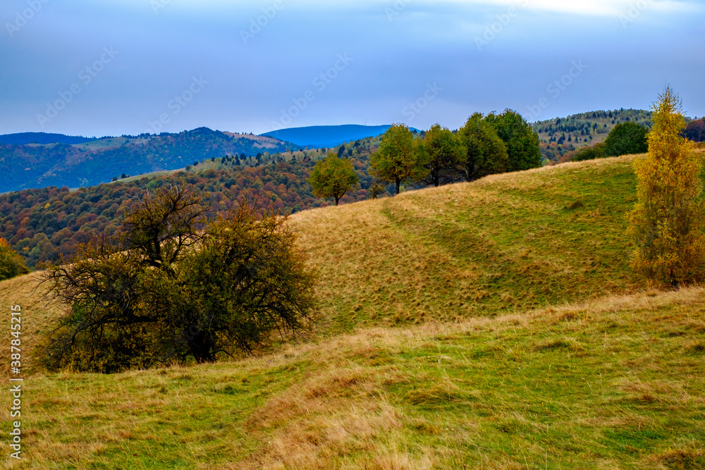 Fototapeta premium Colorful autumn landscape in the Romanian Carpathians, Fantanele village, Sibiu county, Cindrel mountains, 1100m, Romania