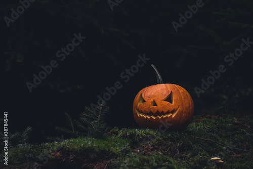 Halloween im Wald