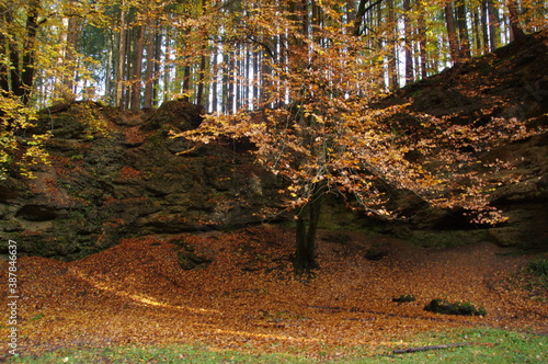 Hexentanzplatz Oberhaching photo