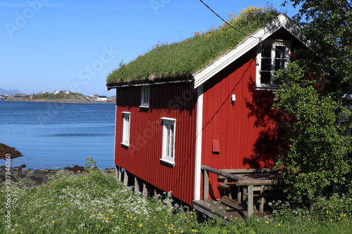 фотографія Reine / Norway - June 15 2019: Red cabins, called Robu / Rorbuer in norway with