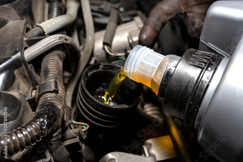 Car mechanic pours new car oil into the engine from a plastic tank in a car workshop. © Michal