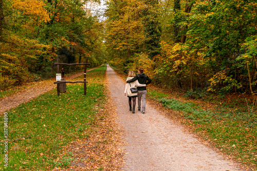 Fototapeta Naklejka Na Ścianę i Meble -  couple walking in the park