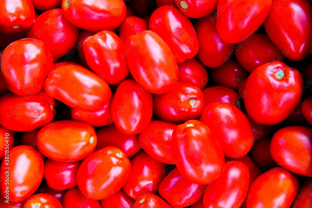 Fresh red tomatoes in boxes in local farmers market Fresh red tomatoes in boxes in local farmers market