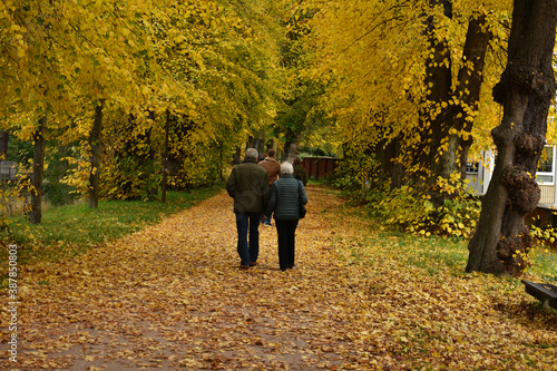 Old elderly people couple walking on a path road covered with yellow golden autumn leaves in Nienburg Germany in October