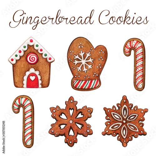 High quality watercolor gingerbread cookies collection