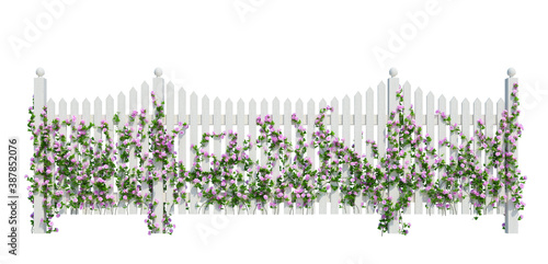 3d Render Ivy Plants Isolated  on white