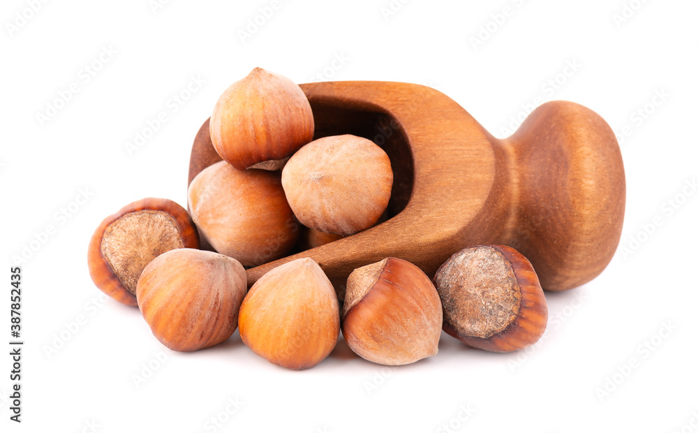 Hazelnut in wooden scoop, isolated on white background. Nut macro. With clipping path. Hazelnut in wooden scoop, isolated on white background. Nut macro. With clipping path.