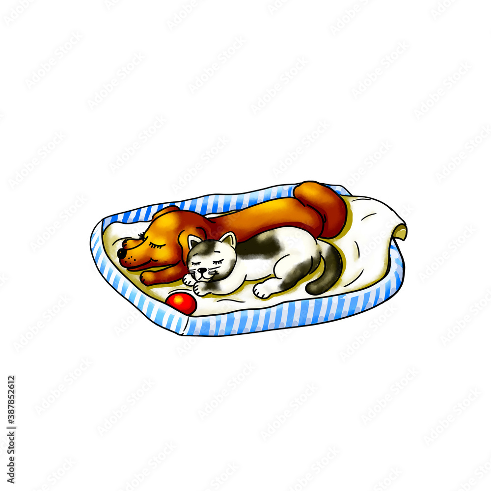 Hund Hündchen Baby Tiere Haustier Katze Kätzchen Tierbaby liegen in Hundekörbchen auf Decke und schlafen aneinander gekuschelt kuscheln ausruhen niedlich Tierpension Spielzeug Ball Hintergrund weiß Hund Hündchen Baby Tiere Haustier Katze Kätzchen Tierbaby liegen in Hundekörbchen auf Decke und schlafen aneinander gekuschelt kuscheln ausruhen niedlich Tierpension Spielzeug Ball Hintergrund weiß