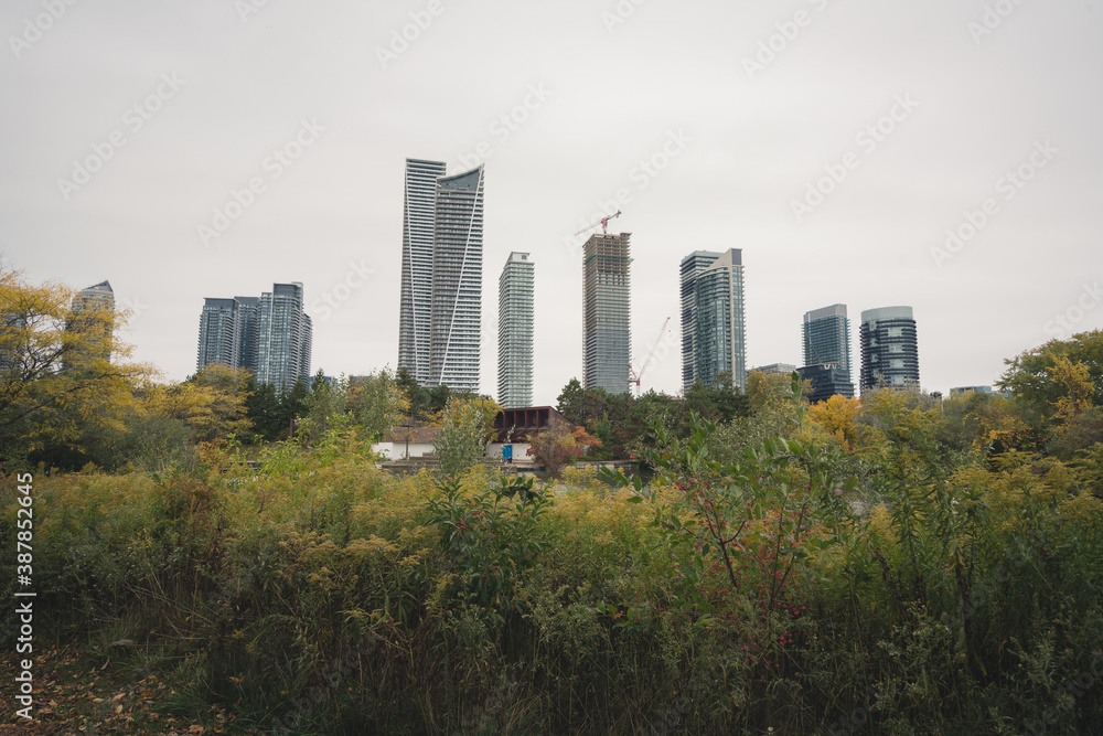 Fototapeta premium autumn in the city