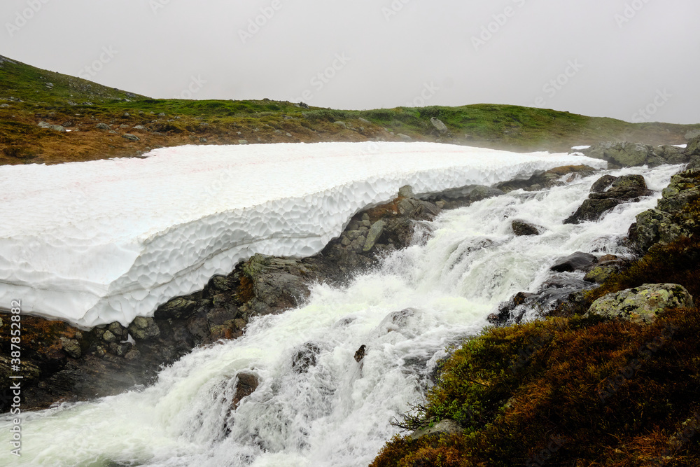 Fast-flowing mountain stream and snow on a Norwegian highland during the summer