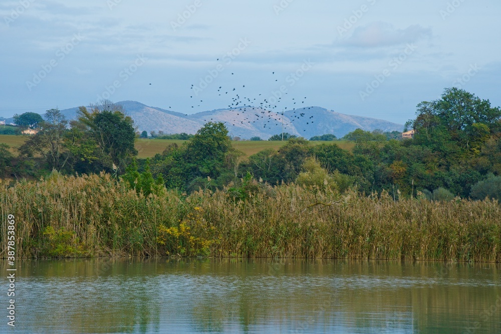 Nazzano Tevere Farfa Natural Reserve in the province of Rome, Italy Nazzano Tevere Farfa Natural Reserve in the province of Rome, Italy