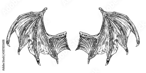 Hand drawn vintage etched woodcut fallen angel or vampire detailed wings. Dragon or gargoyle wings. Heraldic wings for tattoo and mascot design. Isolated sketch collection. Vector.