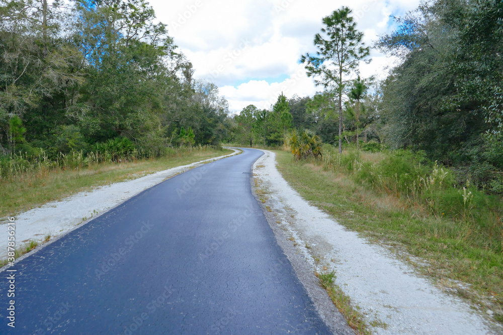 A biking trail in a sunny day in Florida. Taken in Flatwood park in Tampa. Florida	
