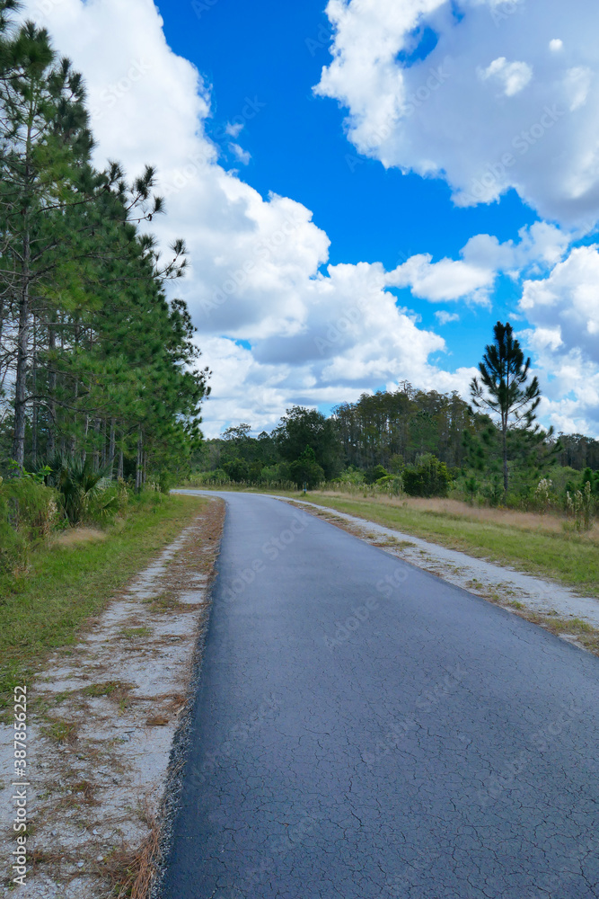 A biking  trail in a sunny day in Florida. Taken in Flatwood park in Tampa. Florida