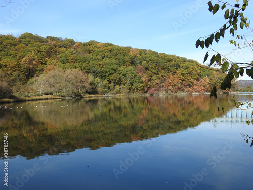 Lake in autumn, lake in the forest, fall reflection