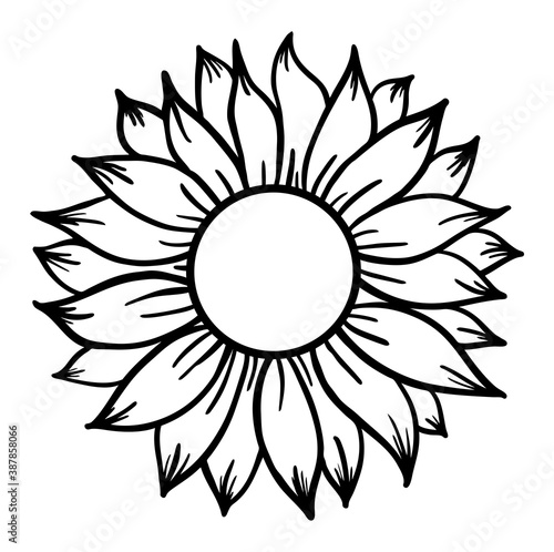 Sunflower print vector illustration for chirt