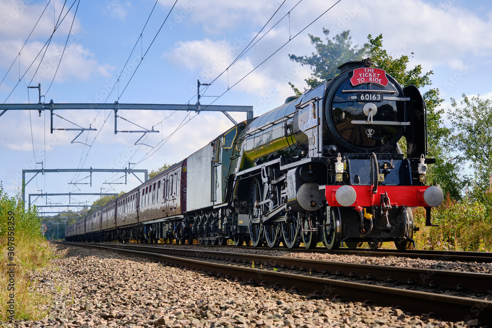 Fototapeta premium express steam train on modern railway