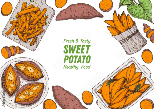 Sweet potato illustration. Batatas hand drawn vector illustration. Farm market food. Raw and cooked sweet potatoes hand drawn. Packaging design.