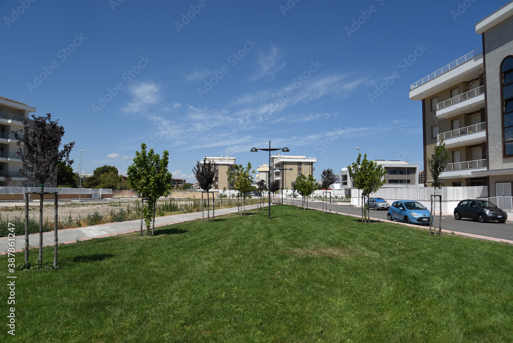 Fototapeta premium Park by Morning With Path and Trees Near the Houses