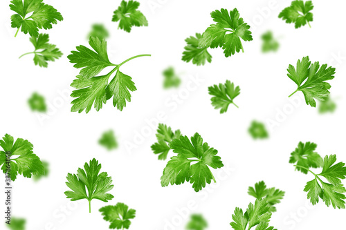 Falling Parsley isolated on white background, selective focus
