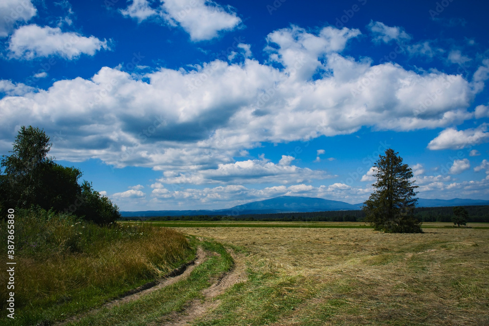 autumn landscape with clouds and mown grass autumn landscape with clouds and mown grass