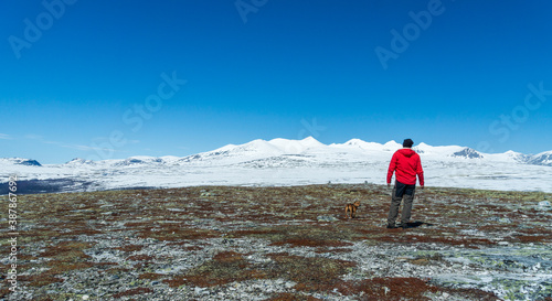 Man and his dog are looking towards snow capped mountains during sunny day in the wilderness. Panorama crop.