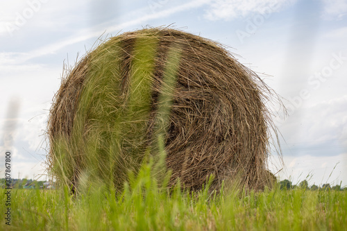 Fotografía Large haystack close-up, round spool with dry grass on new green shoots