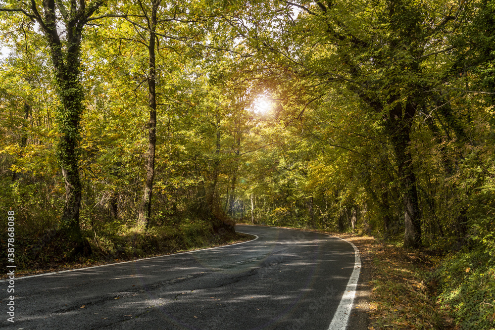 Fototapeta premium strada di montagna in autunno