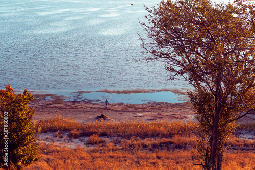 landscape with trees