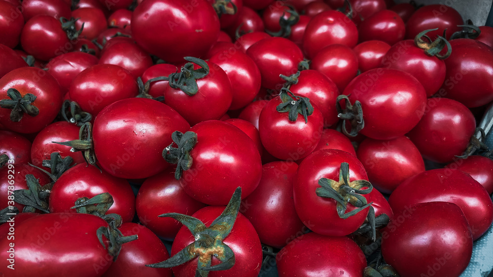red tomatoes background red tomatoes background