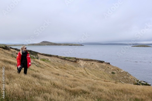 Blond woman in rough and windy grass landscape on island, Falkland Islands