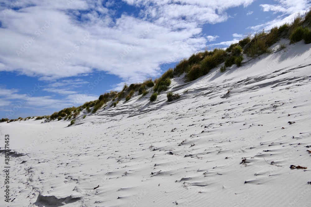 Εκτύπωση καμβά Beach landscape with sand and wind blown grass, Falkland Islands