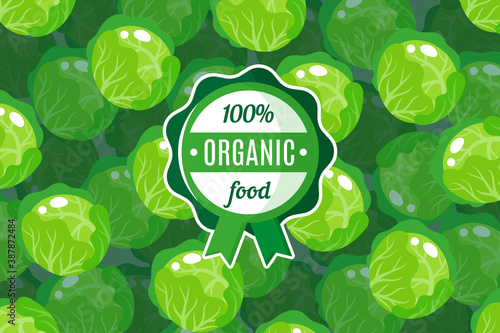 Vector poster or banner with illustration of green round cabbage background and round green organic food label